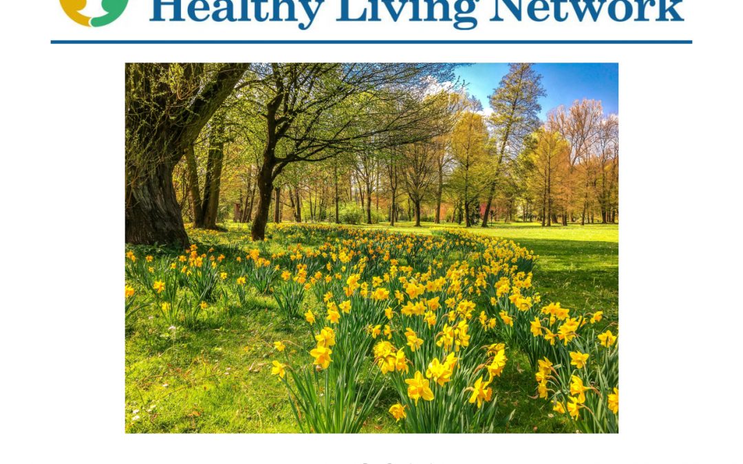 Our Spring 2021 newsletter