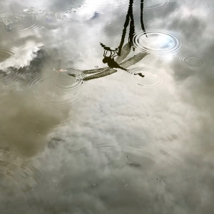 Dwell video still by Sandra Davison